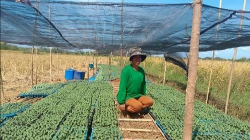 MS. HAZEL A. CORREA - Sual Branch